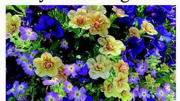 Go on safari in your own garden